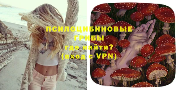 MDMA Медногорск