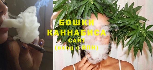 прущие грибы Медвежьегорск