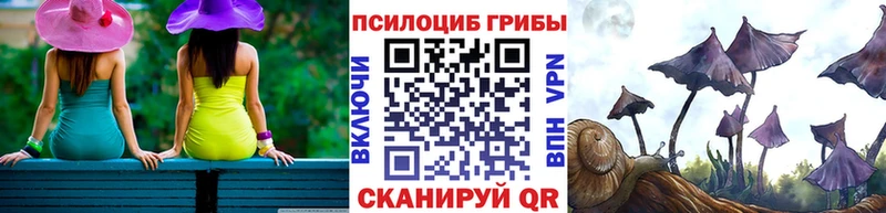 даркнет сайт  Барнаул  Галлюциногенные грибы Psilocybe 