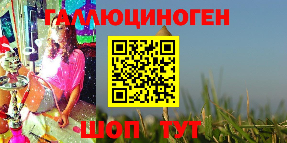 Галлюциногенные грибы Psilocybe Барнаул