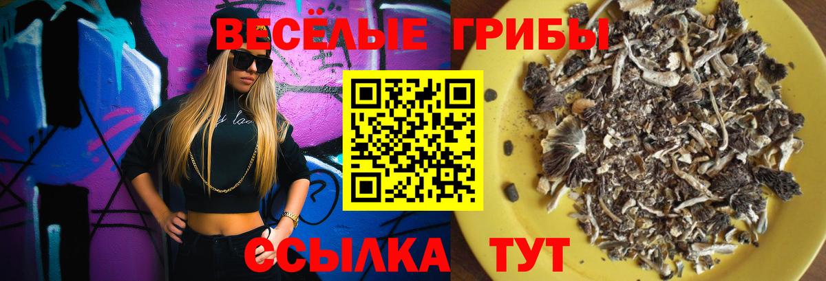 Псилоцибиновые грибы MAGIC MUSHROOMS  Псилоцибиновые грибы ЛСД  Вход с VPN  Барнаул 