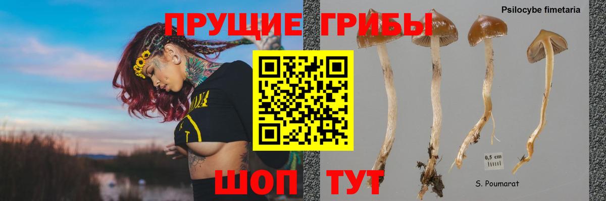 Псилоцибиновые грибы MAGIC MUSHROOMS  Барнаул 